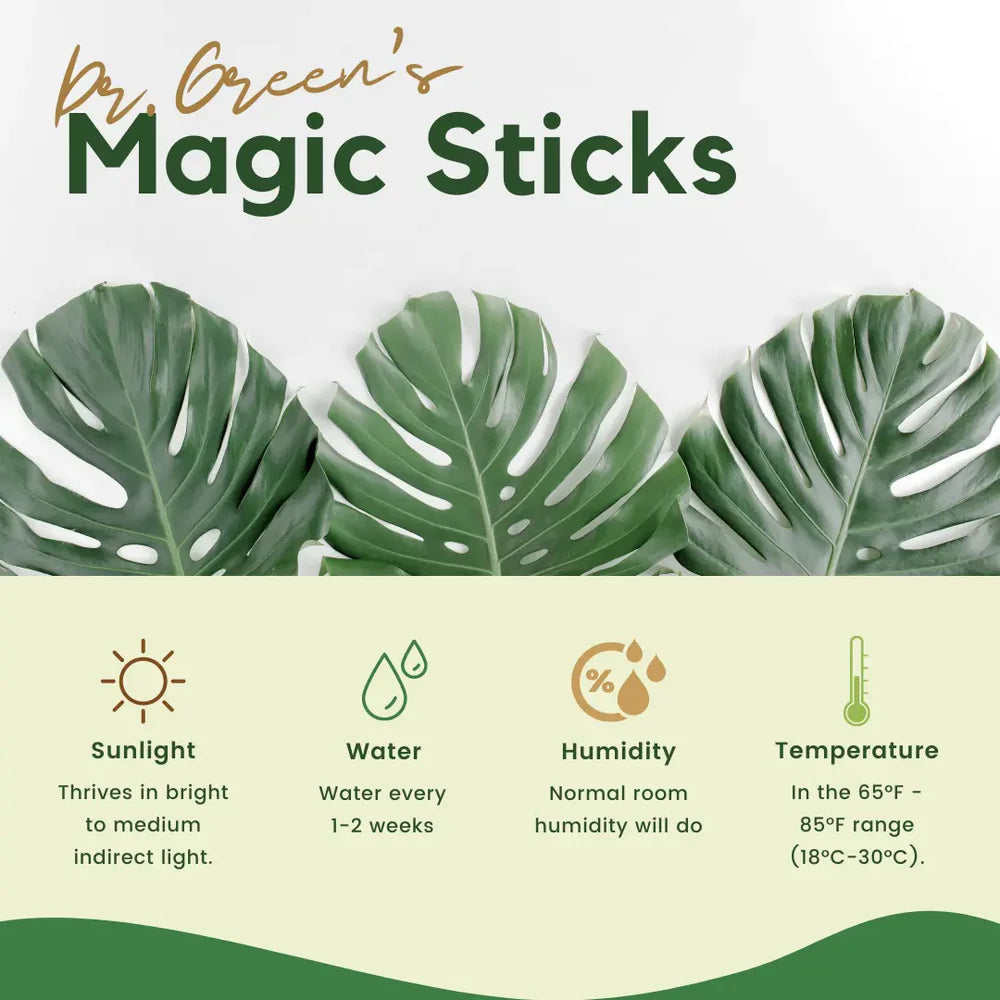 GreenBloom Fertilizer Sticks – Power Up Your Plants the Easy Way - 25 Stick (Buy 1 Get 1 Free)