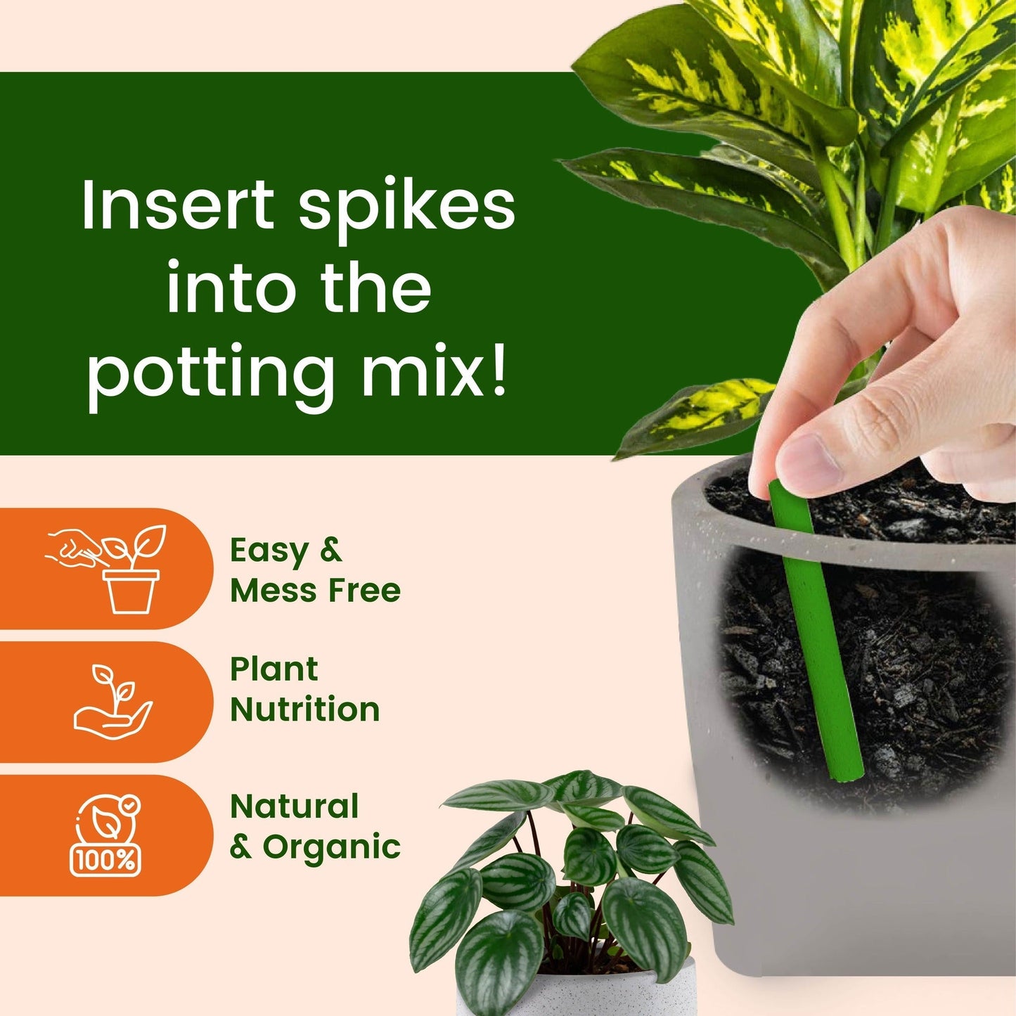 GreenBloom Fertilizer Sticks – Power Up Your Plants the Easy Way - 25 Stick (Buy 1 Get 1 Free)
