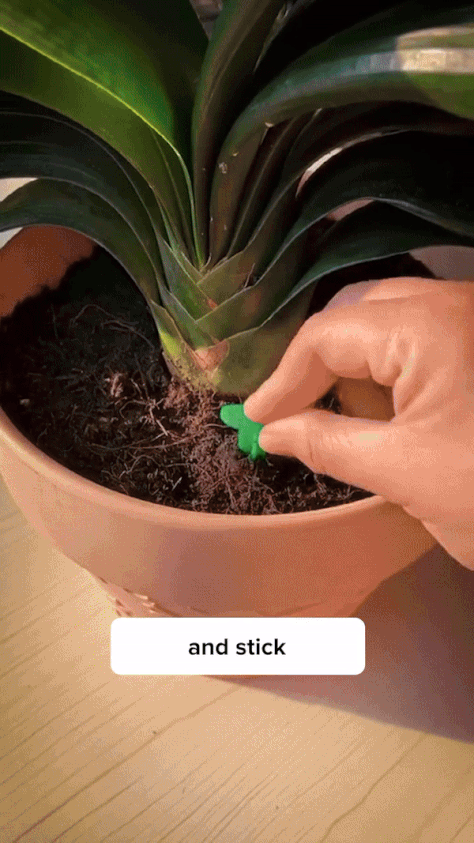 GreenBloom Fertilizer Sticks – Power Up Your Plants the Easy Way - 25 Stick (Buy 1 Get 1 Free)