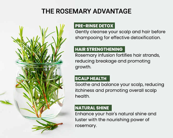 Rosemary Water, Hair Spray For Regrowth (Pack of 3 Bottle & 1 Sprayer)