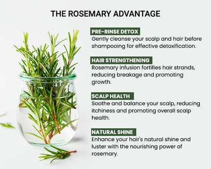 Rosemary Water, Hair Spray For Regrowth (Pack of 3 Bottle & 1 Sprayer)