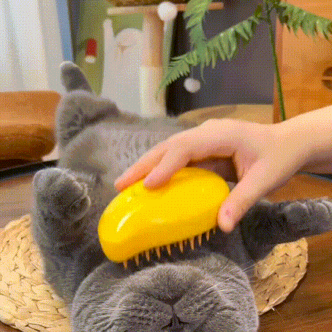 Steaming Pet Hairbrush