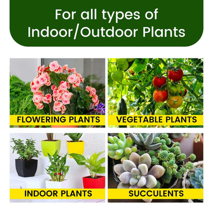 GreenBloom Fertilizer Sticks – Power Up Your Plants the Easy Way - 25 Stick (Buy 1 Get 1 Free)