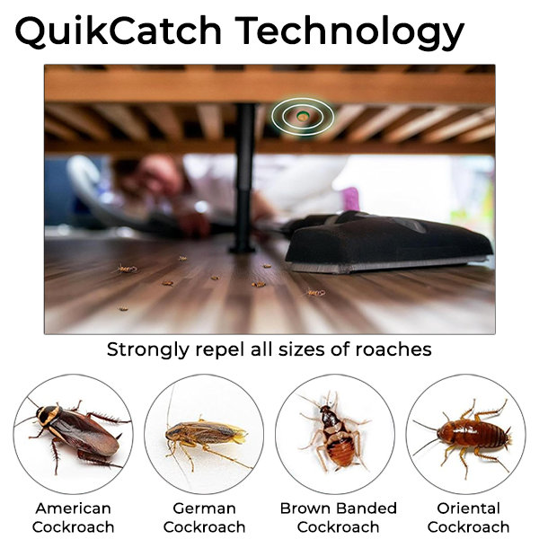RoachZap™ Advanced Cockroach Killer Gel (Pack of 2)