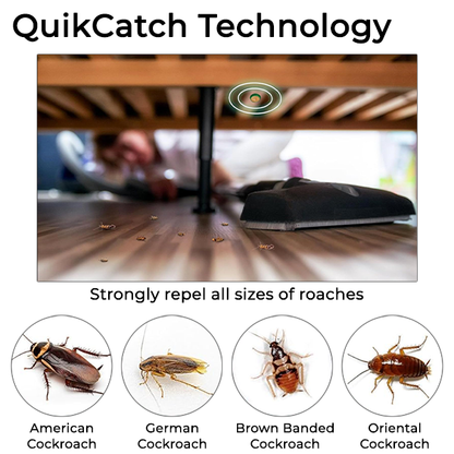 RoachZap™ Advanced Cockroach Killer Gel (Pack of 2)