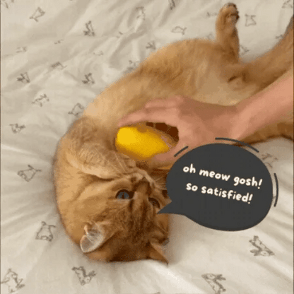 Steaming Pet Hairbrush
