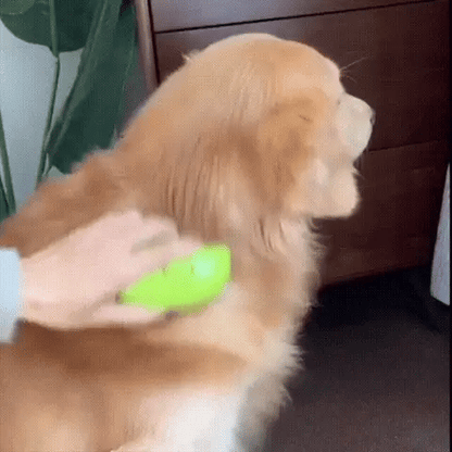 Steaming Pet Hairbrush